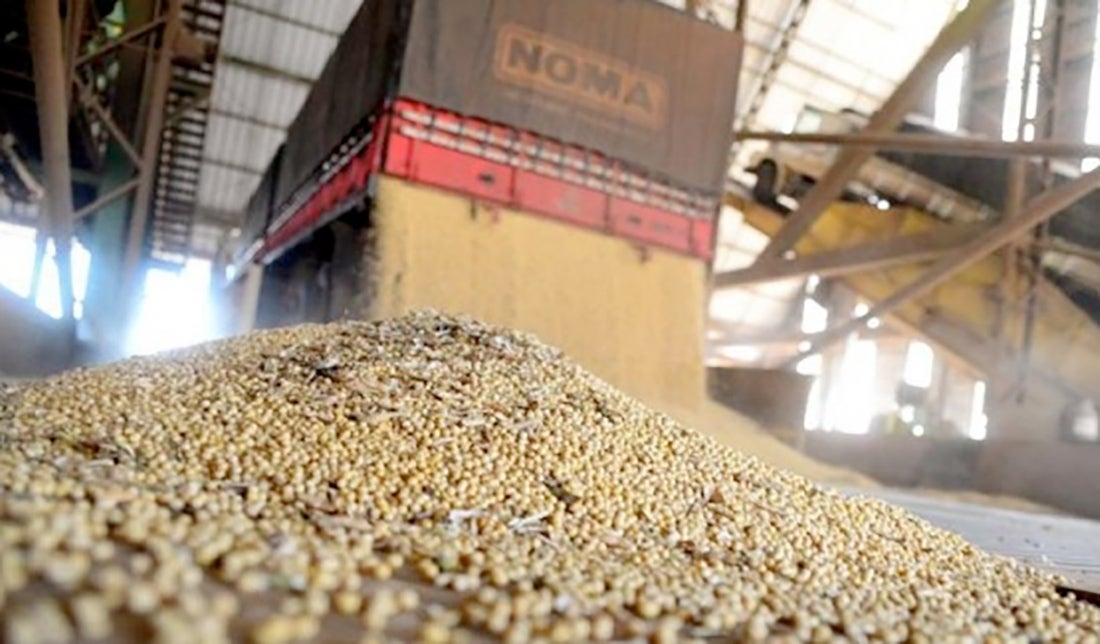 Esmagamento de soja em Mato Grosso cresce 37,9%