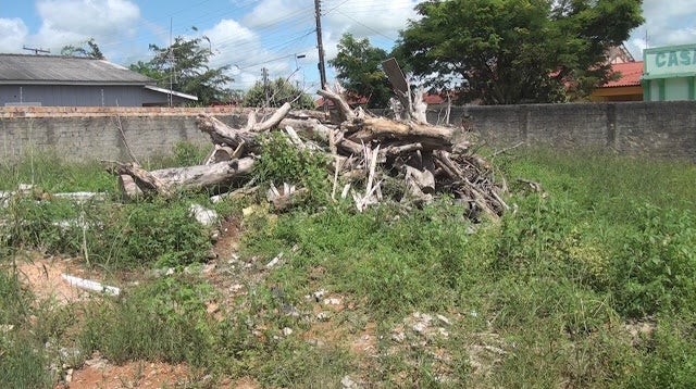 Prefeitura de Guarantã do Norte irá multar proprietários de terrenos sujos