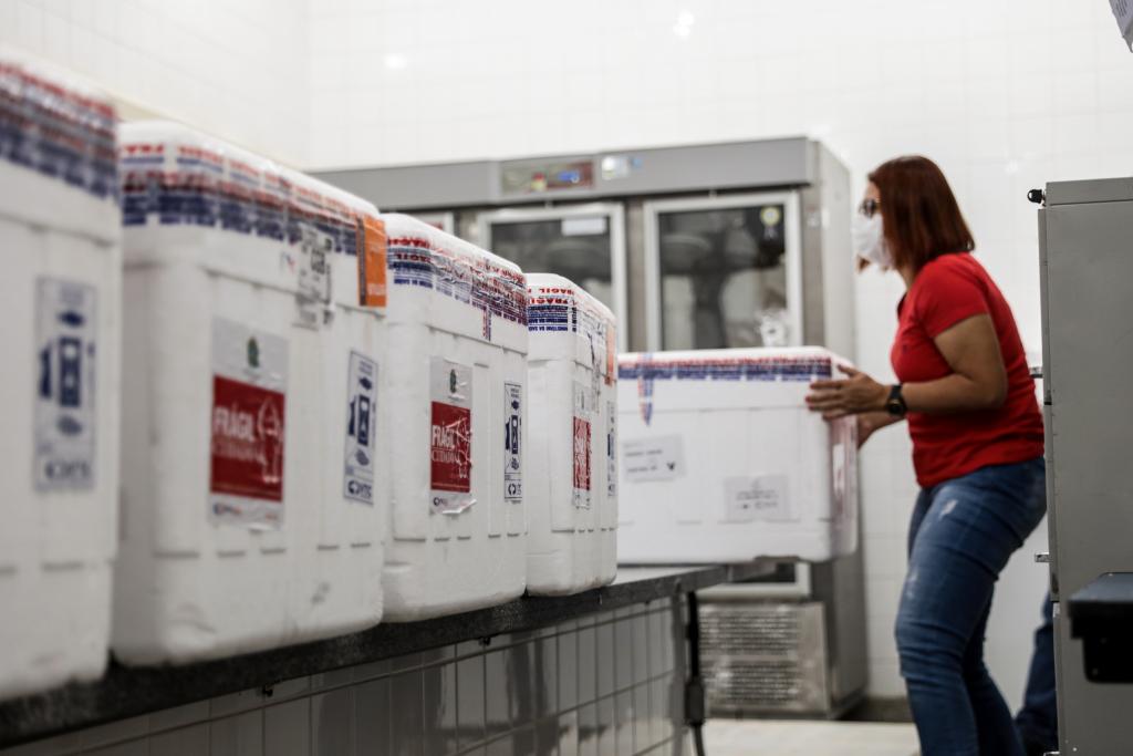 Colegiado define como serão distribuídas 58,7 mil doses de vacina contra Covid-19