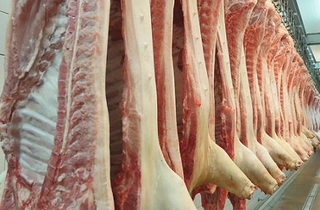 Produção de carne suína aumenta 7,1% em MT