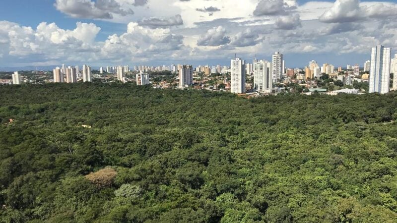 Parques estaduais de Cuiabá suspendem atividade a partir desta quinta-feira (1°)