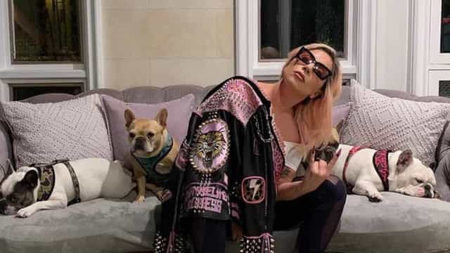 Ryan Fischer, passeador dos cães de Lady Gaga, retira parte dos pulmões e tem alta