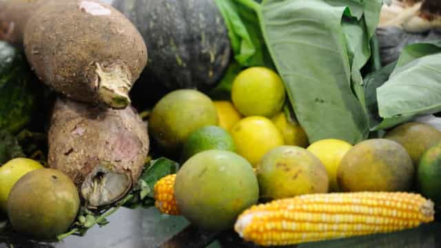 ONU: 931 milhões de toneladas de alimentos foram para o lixo em 2019 