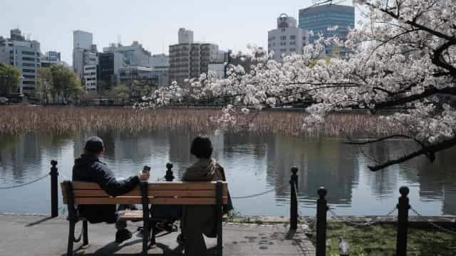Há 1.200 anos que as cerejeiras não floresciam tão cedo no Japão