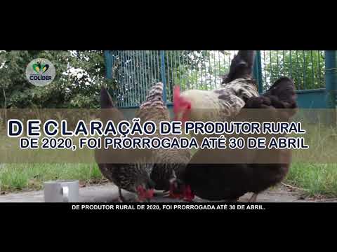 Informe Publicitário Colíder: CAMPANHA DECLARAÇÃO DE PRODUTOR RURAL