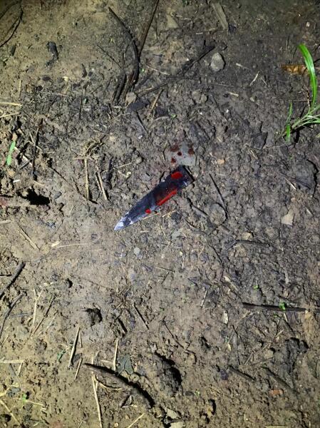 Homem defende marido e mata agressor a facadas na zona rural de Matupá