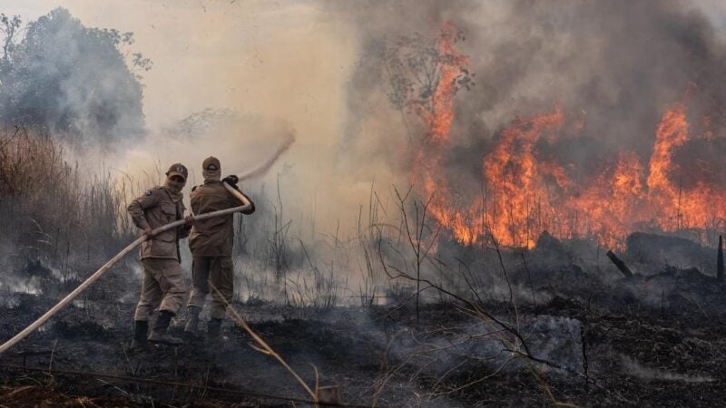 Estado investe mais de R$ 43 milhões na prevenção e combate aos incêndios florestais