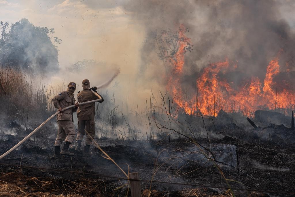 Estado investe mais de R$ 43 milhões na prevenção e combate aos incêndios florestais