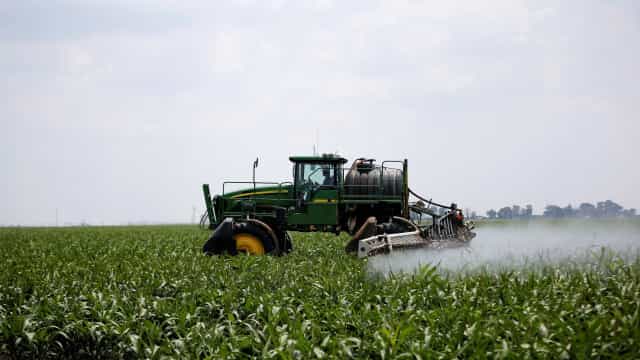 IBGE prevê safra recorde de 264,9 milhões de toneladas para 2021