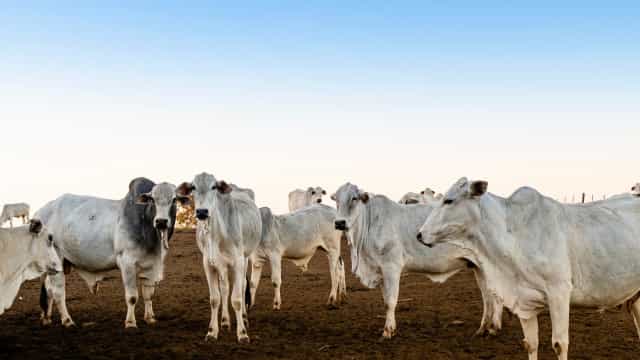 Regularização de terras é aposta da bancada rural