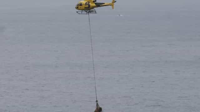 Touro de 800 kg é resgatado por helicóptero em praia espanhola