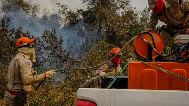 Governo de MT investe R$ 73 milhões em combate aos incêndios florestais e antecipa período proibitivo do fogo