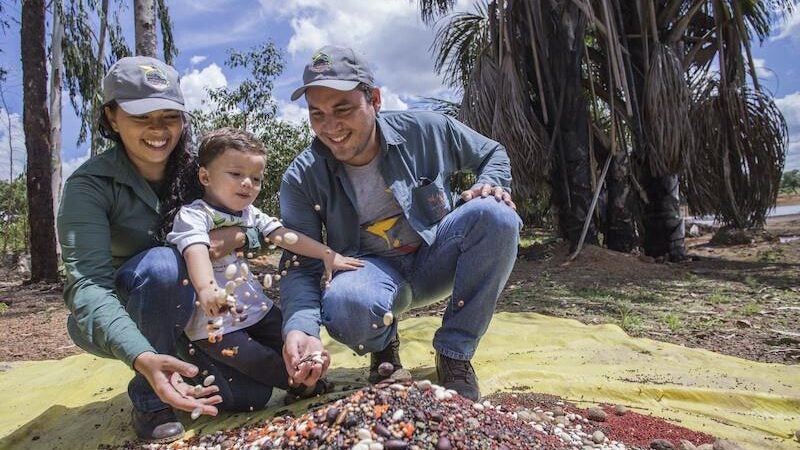 Corredores ecológicos restauram ecossistemas no Xingu Araguaia