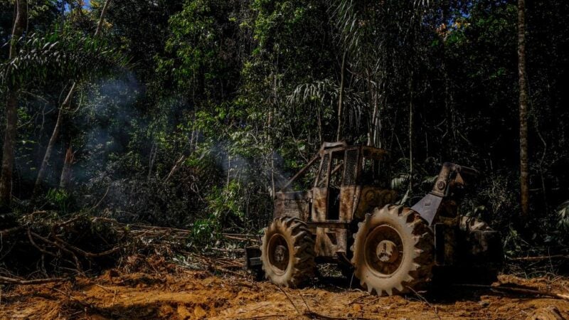 Governador lança mais uma etapa da Operação Amazônia contra crimes ambientais