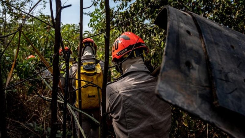 Mato Grosso reduz 85,8% focos de calor no Pantanal nos primeiros cinco meses