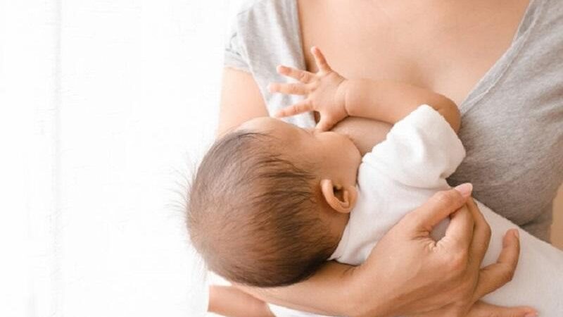 SES prepara programação virtual para discutir aleitamento materno e substitutos