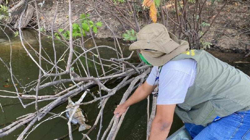Sema-MT vistoria Rio Aripuanã após denúncia de mortandade de peixes
