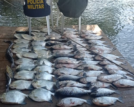 Operação contra pesca predatória apreende 183 quilos de pescado na região de Sinop