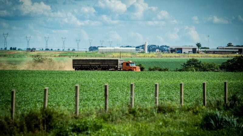 Mato Grosso lidera retomada da economia brasileira, aponta estudo