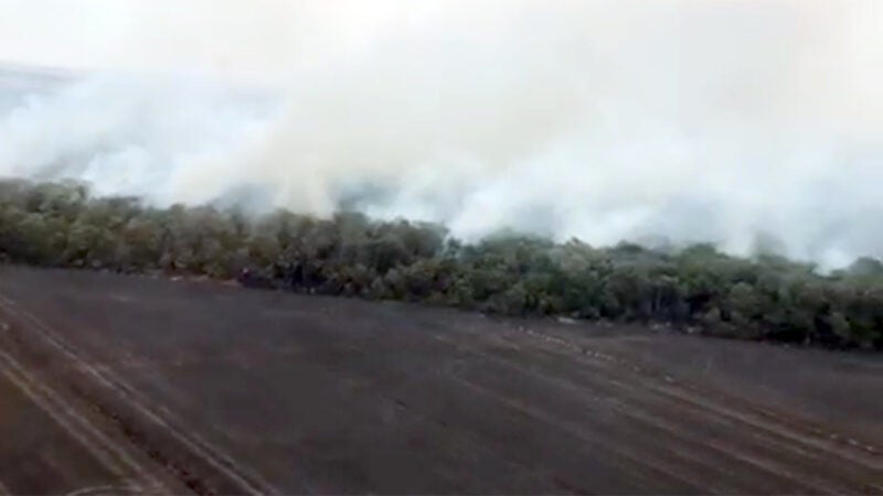Proibição das queimadas em Mato Grosso é antecipada e inicia em julho