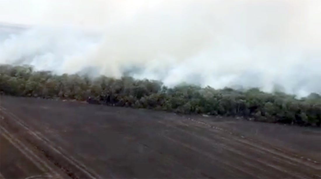 Proibição das queimadas em Mato Grosso é antecipada e inicia em julho