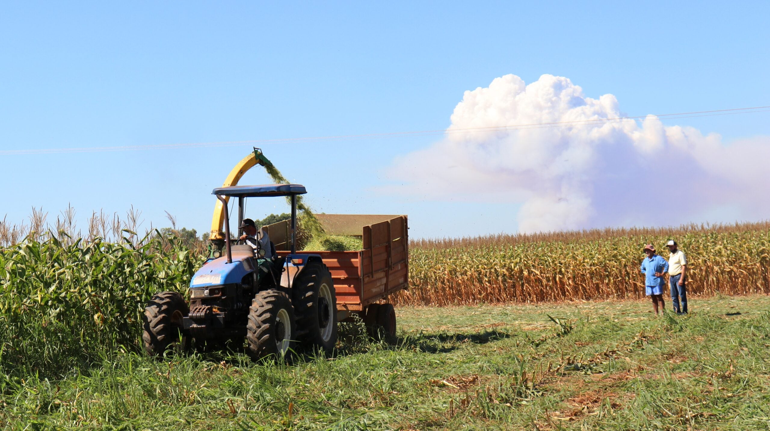 Secretaria Municipal de Agricultura auxilia produtores de Vera na produção de silagem de milho