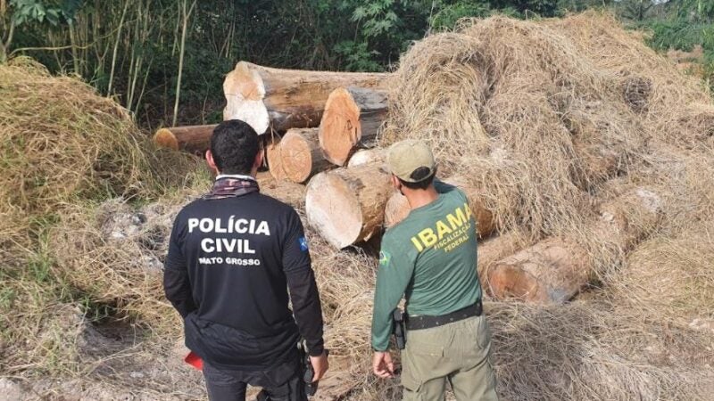 Polícia Civil flagra madeireiras operando irregularmente e apreende 600 metros cúbicos de madeira
