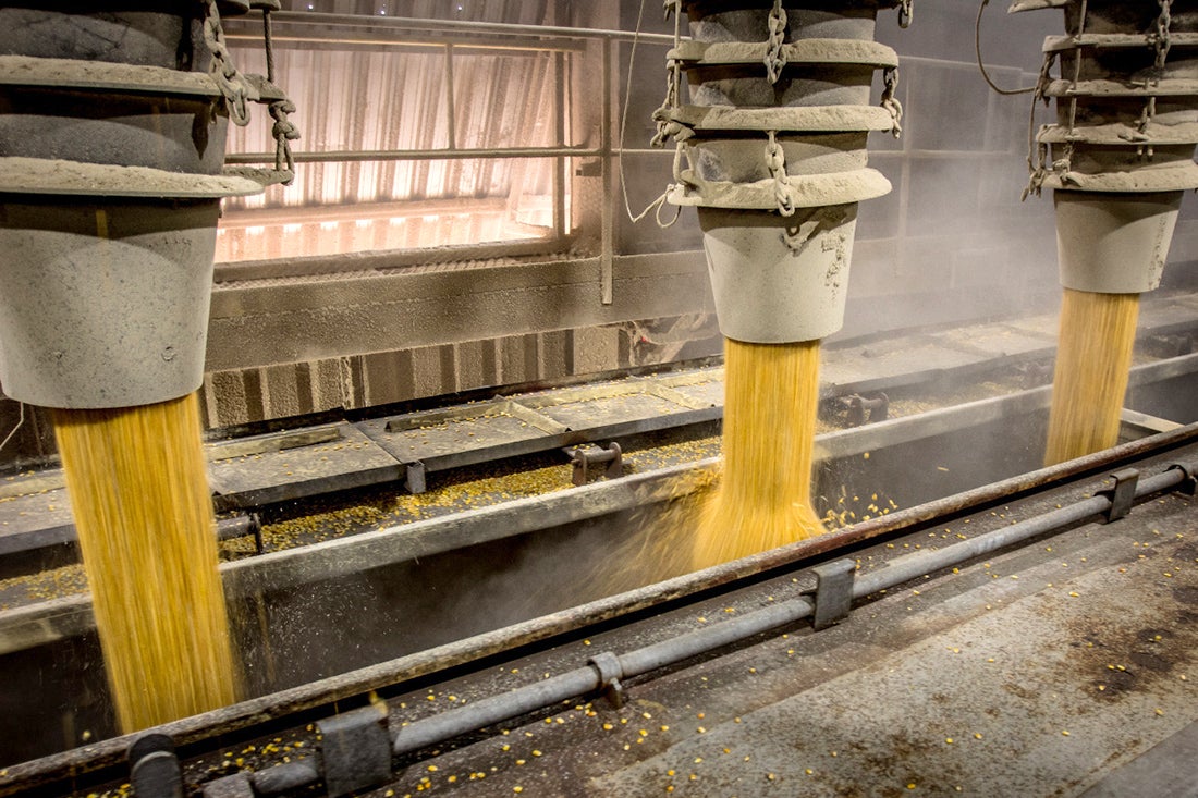 Após várias semanas de valorização preço da soja disponível em Mato Grosso cai 2,4%