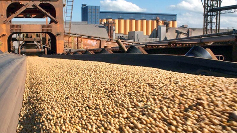 Soja disponível em Mato Grosso tem leve queda; mercado futuro em alta
