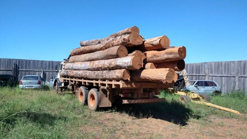 Policiais civis apreendem caminhão com 18 metros cúbicos de madeira irregular no norte de MT