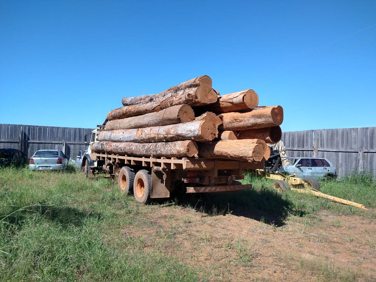 Policiais civis apreendem caminhão com 18 metros cúbicos de madeira irregular no norte de MT