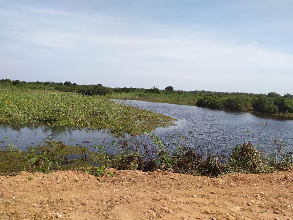 Estado promove limpeza na Transpantaneira para evitar incêndios no Pantanal