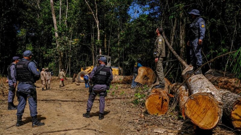 Estado já aplicou R$ 620 milhões em multas ambientais e endurece medidas contra infratores