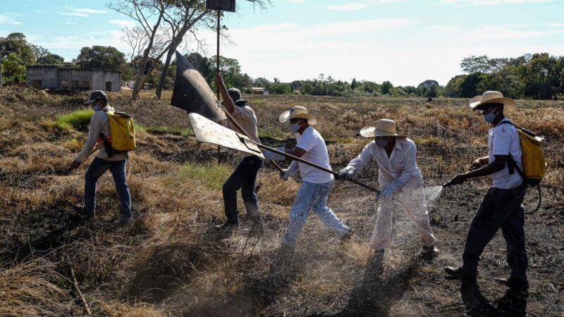 Corpo de Bombeiros firma parceria com prefeituras para criação de brigadas mistas de combate aos incêndios florestais