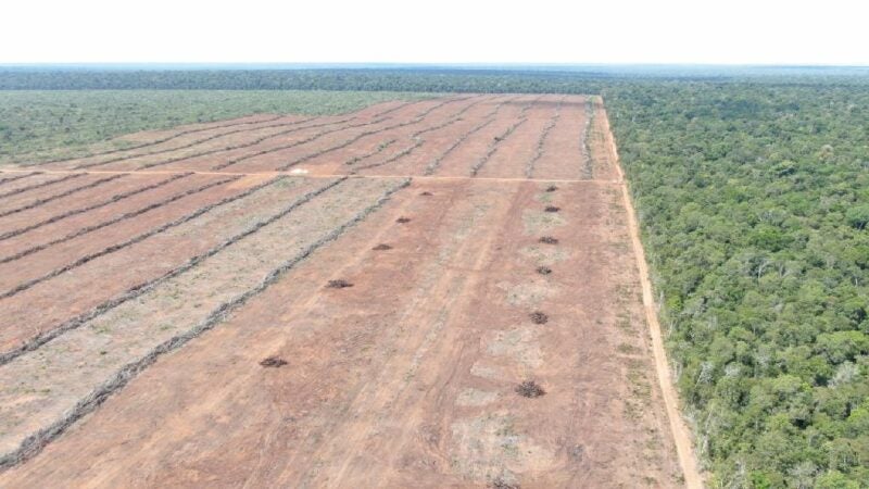 Corpo de Bombeiros aplica multa de R$ 3,8 milhões por desmatamento com uso irregular do fogo em área florestal