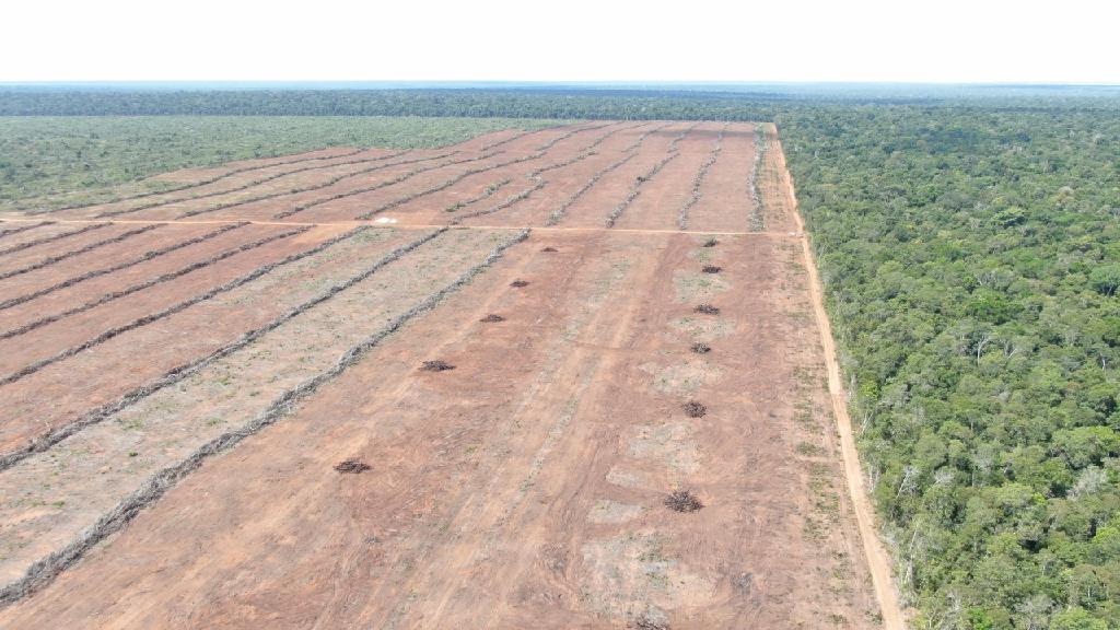 Corpo de Bombeiros aplica multa de R$ 3,8 milhões por desmatamento com uso irregular do fogo em área florestal