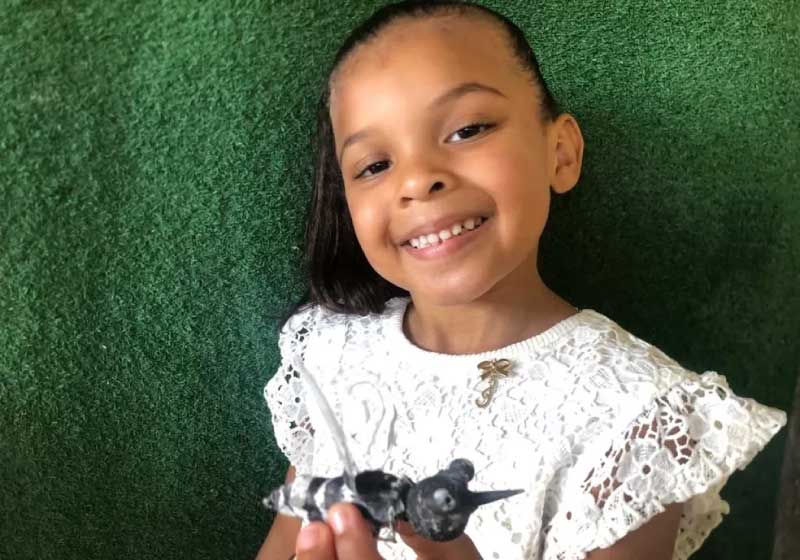 Menina de 5 anos mostra como evitar a dengue e vídeo faz sucesso na web