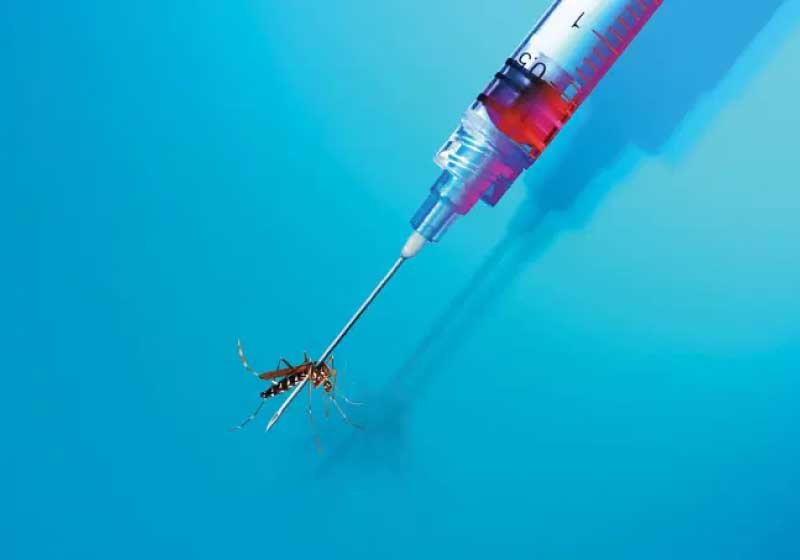 Modificação genética em mosquito pode evitar epidemia de Malária