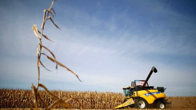 País é ‘Top Five’ em cerca de 30 produtos agrícolas