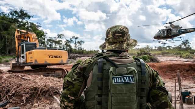Testemunhas dizem que 3.000 cargas de madeira saíram do Pará para exterior sem autorização
