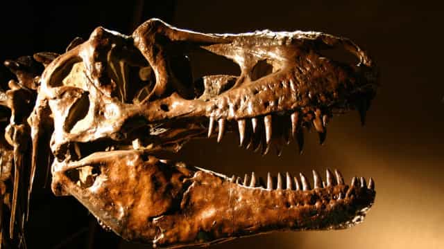 Estudo confirma presença de dinossauros em Mato Grosso do Sul