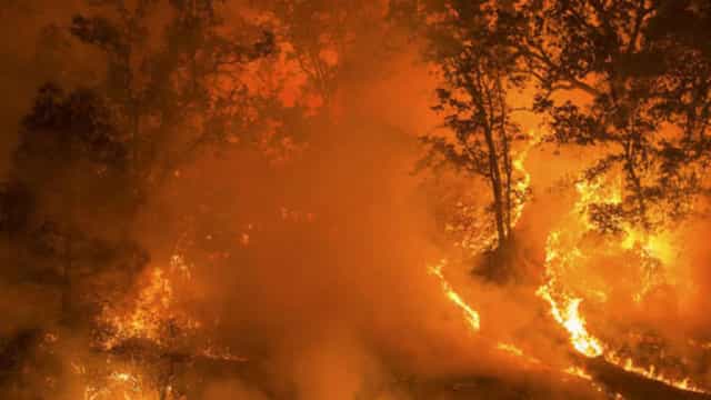 Em reação a operação contra mineração ilegal, garimpeiros incendeiam aldeia no PA