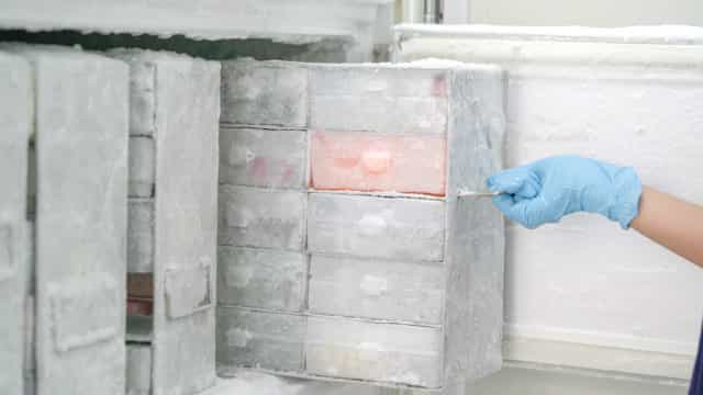 Europa adota regra que amplia armazenamento da vacina da Pfizer em geladeira comum