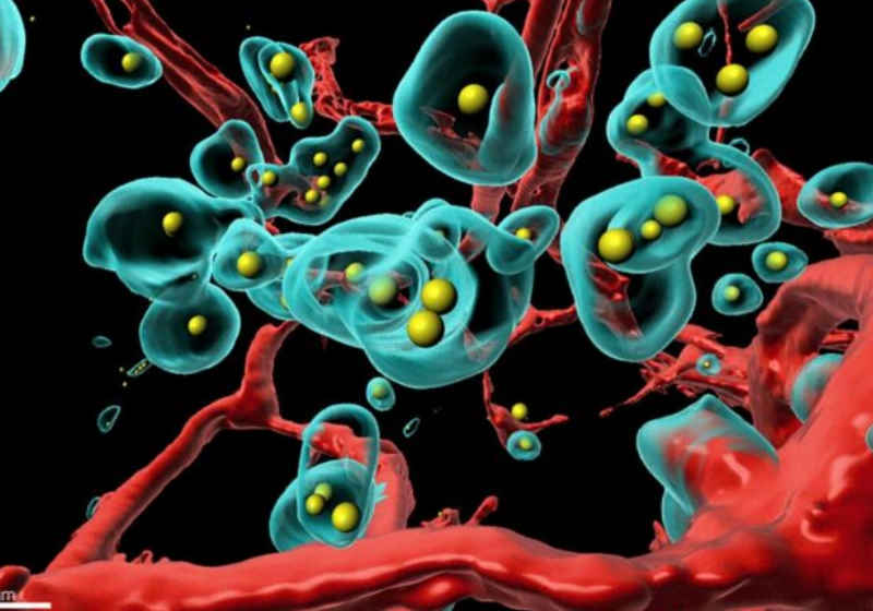 Novo tratamento faz tumores se matarem e age contra outras doenças