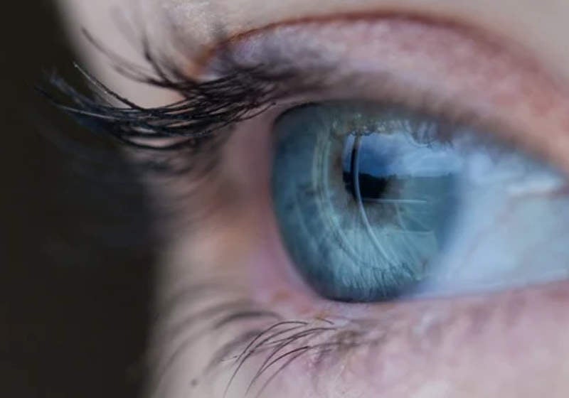 Cientistas restauram visão de paciente cego com genes de algas