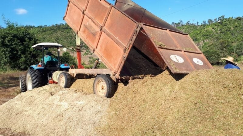 SEDEC de Guarantã do Norte realiza silagem de Cana-de-açúcar na comunidade São Roque, linha fogo, área que seria de cobertura da Cooper Guarantã