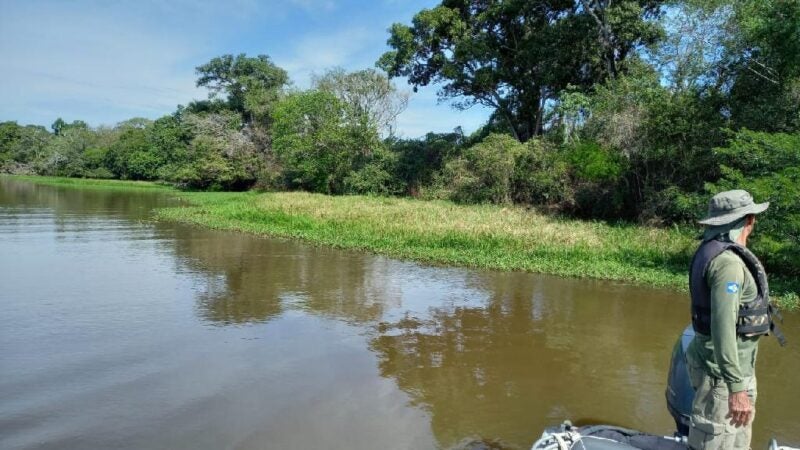 Após denúncias, Sema fiscaliza mortes de jacarés que teriam sido provocadas por visitantes