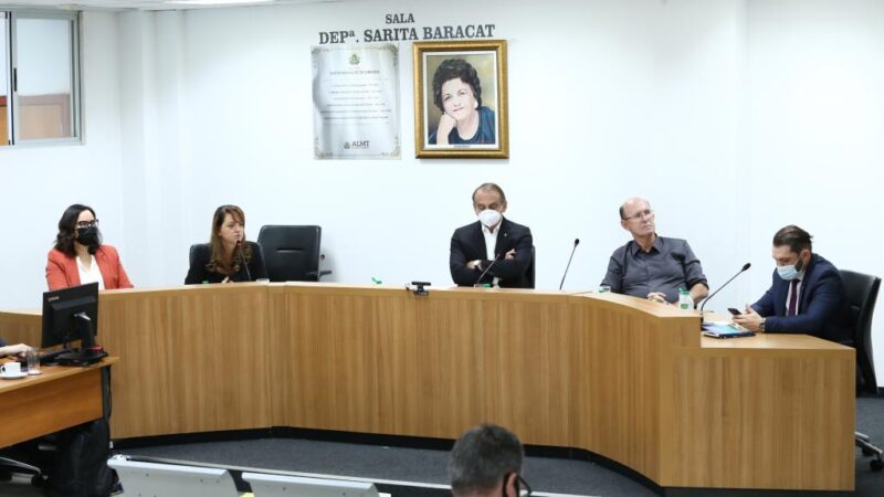 Estado combate garimpo ilegal com fiscalização e regularização, afirma secretária de Meio Ambiente