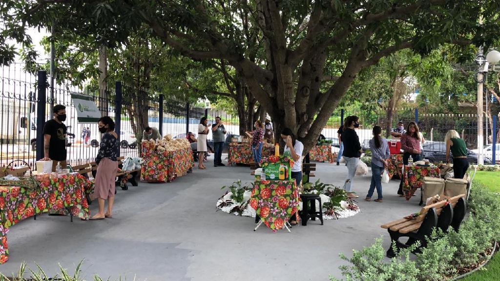 SES retoma Feira SUStentável a partir do dia 24 de junho