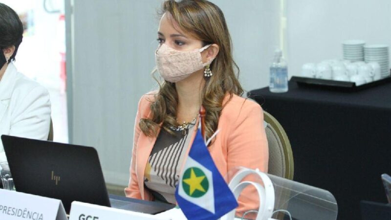 Mato Grosso lidera com mais oito estados ações contra desmatamento ilegal